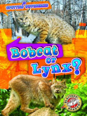 cover image of Bobcat or Lynx?
